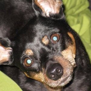 Meet your Posher, Tabitha